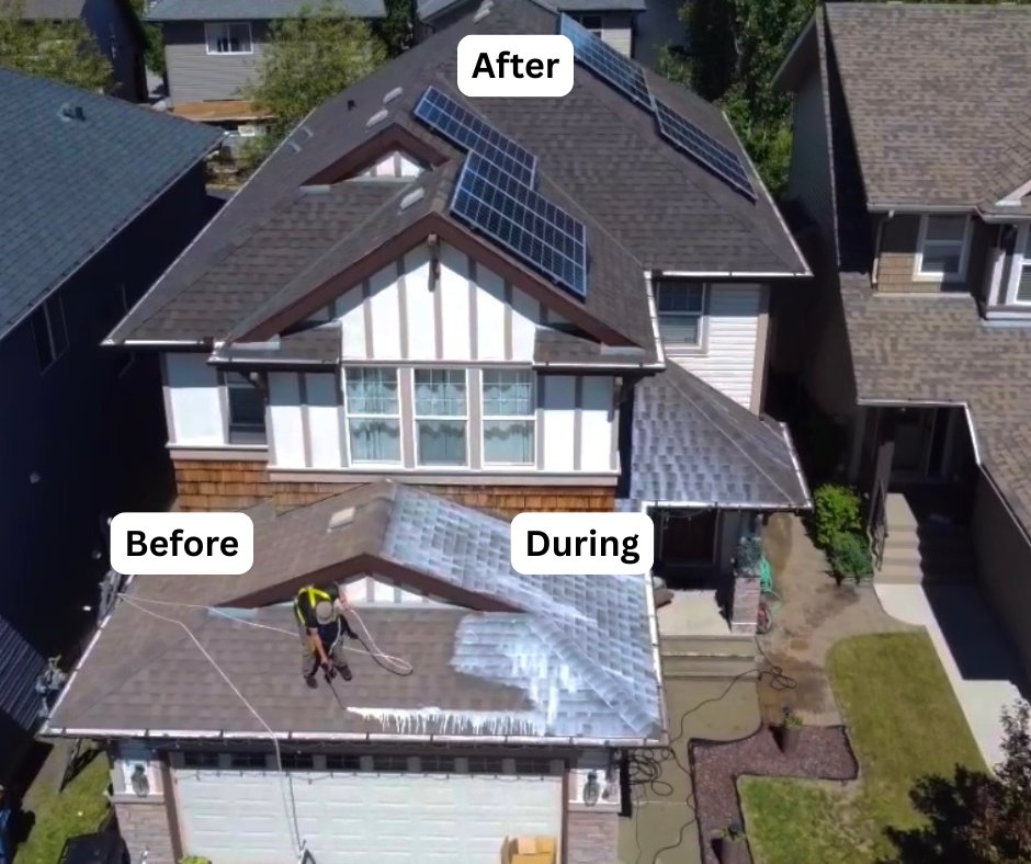 Before, during and after a roof rejuvenation treatment